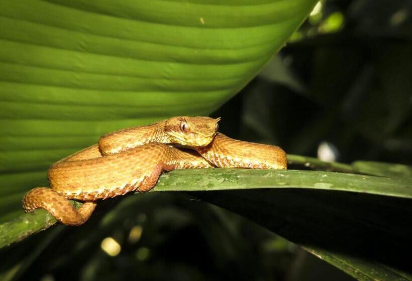 پانسیون Caribbean View House