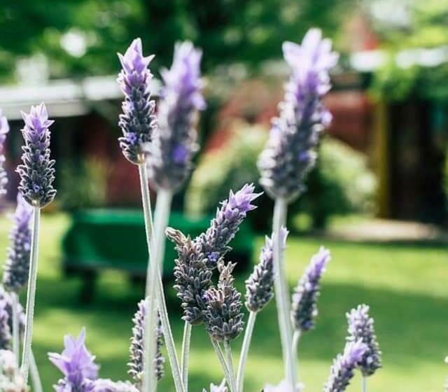 Pension Hosteria Casa De Campo