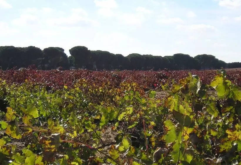 Casa Rural La Navarra
