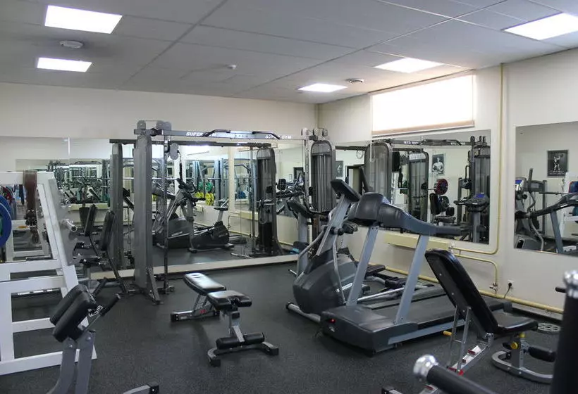 酒店 Ramada Domodedovo Moscow