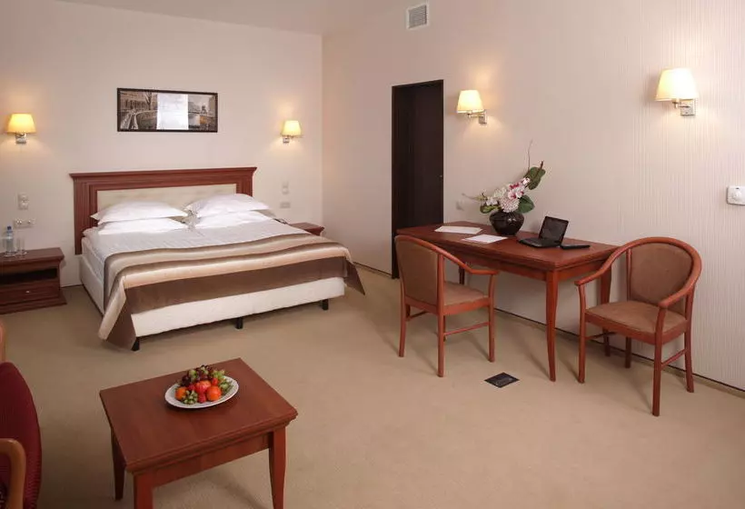 酒店 Ramada Domodedovo Moscow