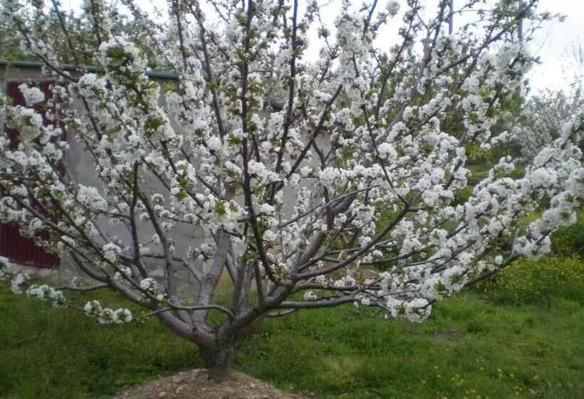 Hotel Rural Rural Xerete