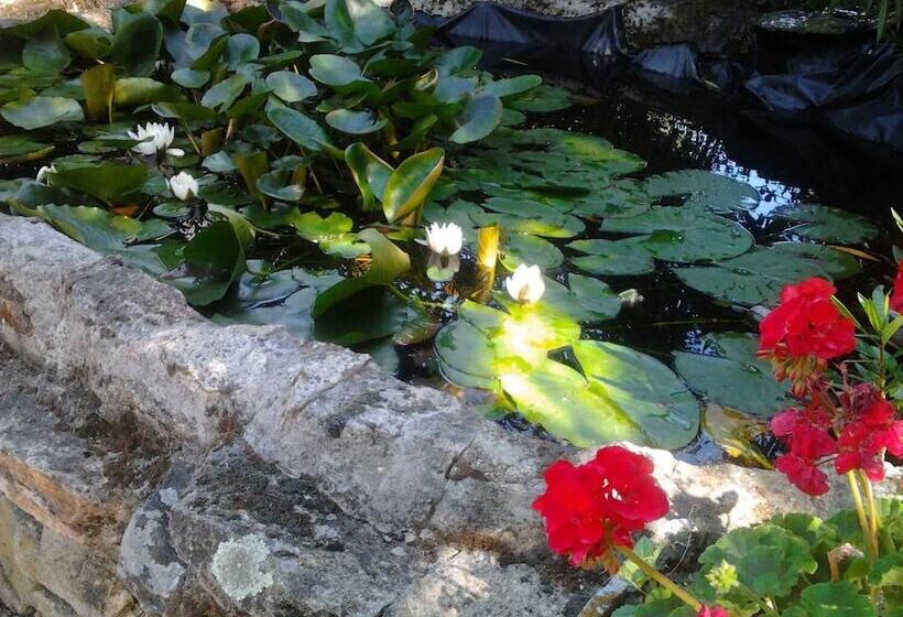 فندق ريفى Rural Xerete