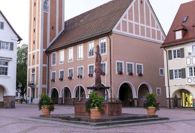 Отель Schwarzwald Freudenstadt