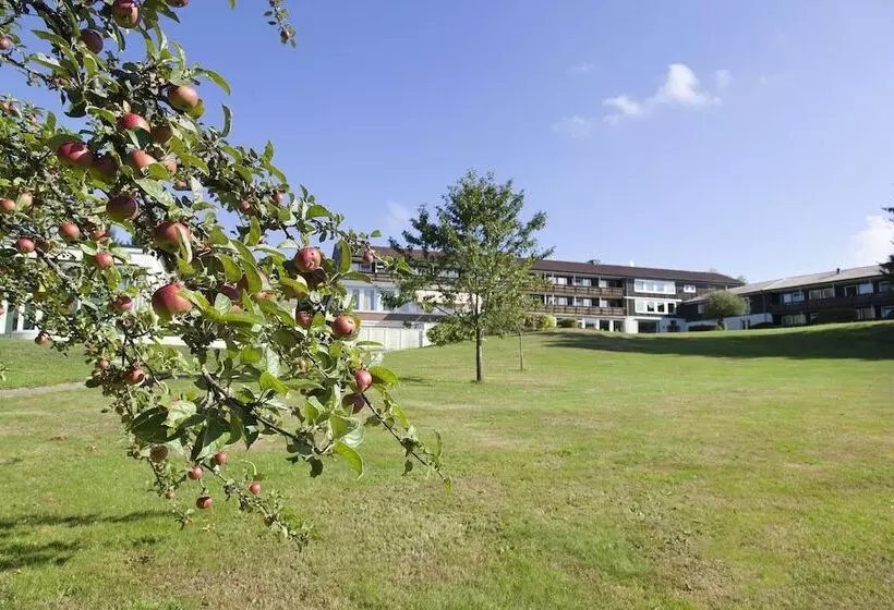 Отель Schwarzwald Freudenstadt