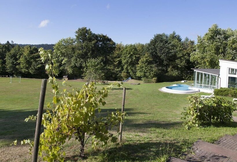 Отель Schwarzwald Freudenstadt