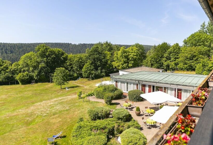 Отель Schwarzwald Freudenstadt