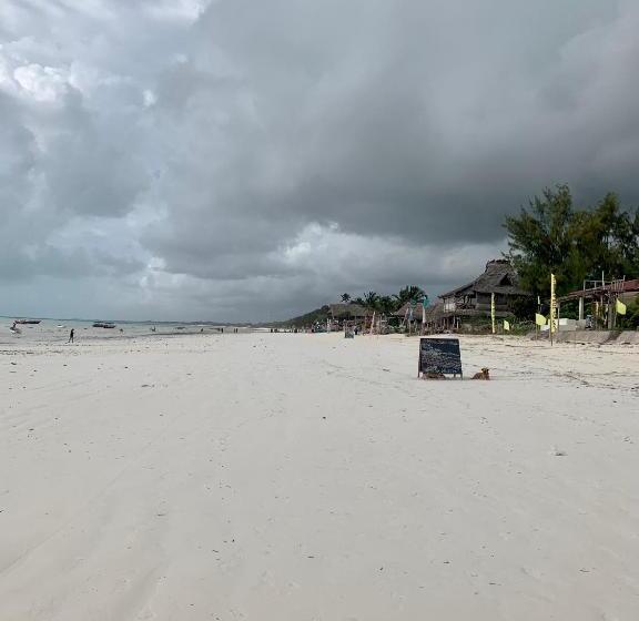 ユースホステル Chokoro House