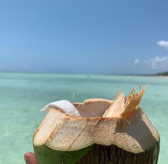 ユースホステル Chokoro House