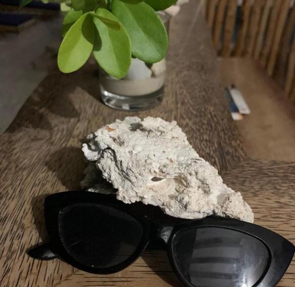 ユースホステル Chokoro House