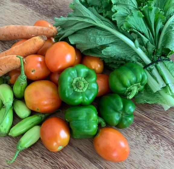 ユースホステル Chokoro House