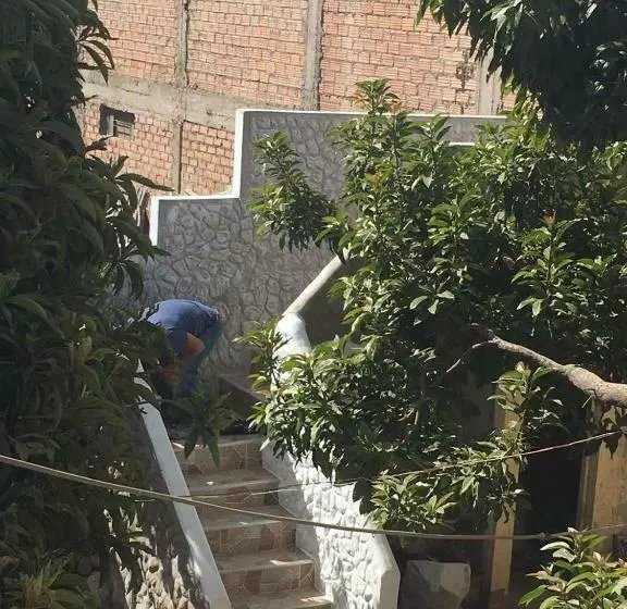 Hotelli Las Palmeras Eco Hostel