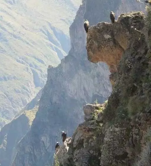 Hotelli Las Palmeras Eco Hostel