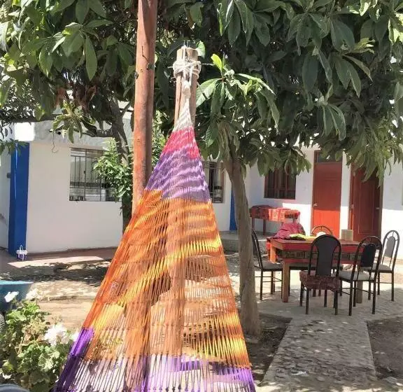 Hotelli Las Palmeras Eco Hostel