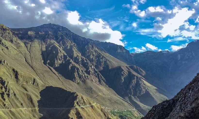 Hotel Las Palmeras Eco Hostel