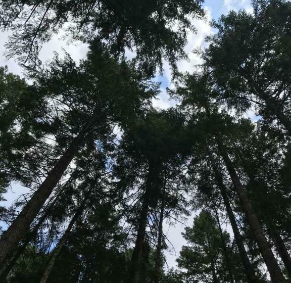 膳宿费 Five Elements Lodge B&b With Outdoor Spa