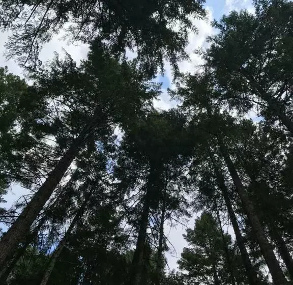 Majatalo Five Elements Lodge B&b With Outdoor Spa