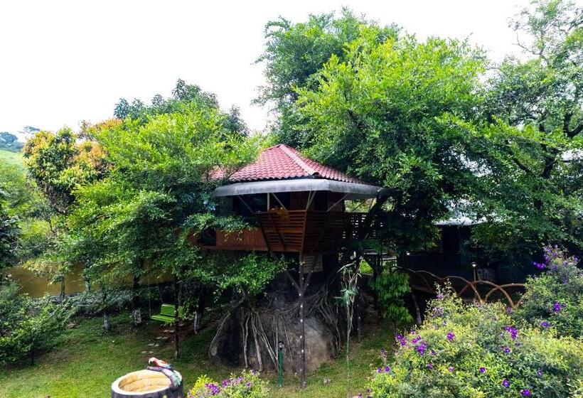 فندق Treehouse Tabor Hills Resort Vagamon