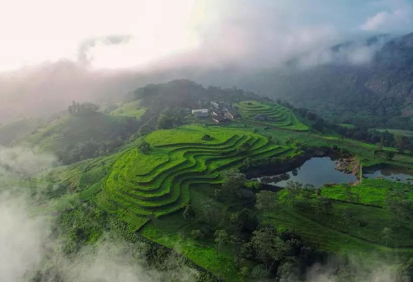 ホテル Treehouse Tabor Hills Resort Vagamon