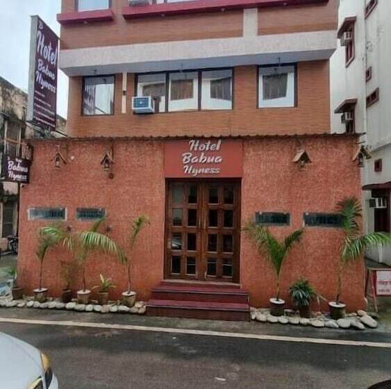 Hotel Babua Hyness