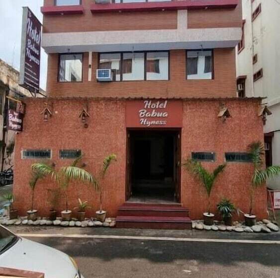 Hotel Babua Hyness