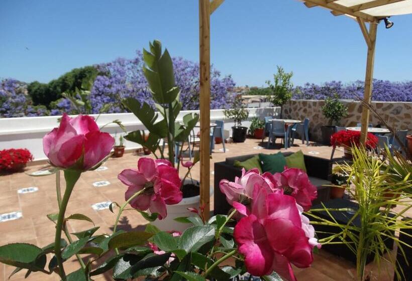 Calpe   Hotel Calpe Grupo