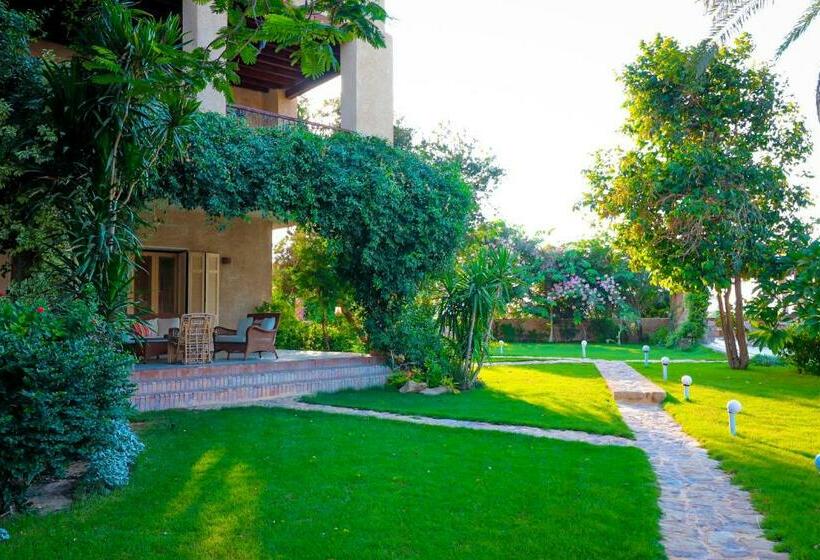 Tache Boutique Hotel Fayoum