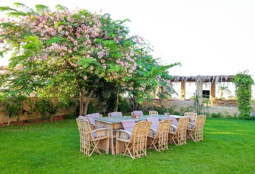 Tache Boutique Hotel Fayoum