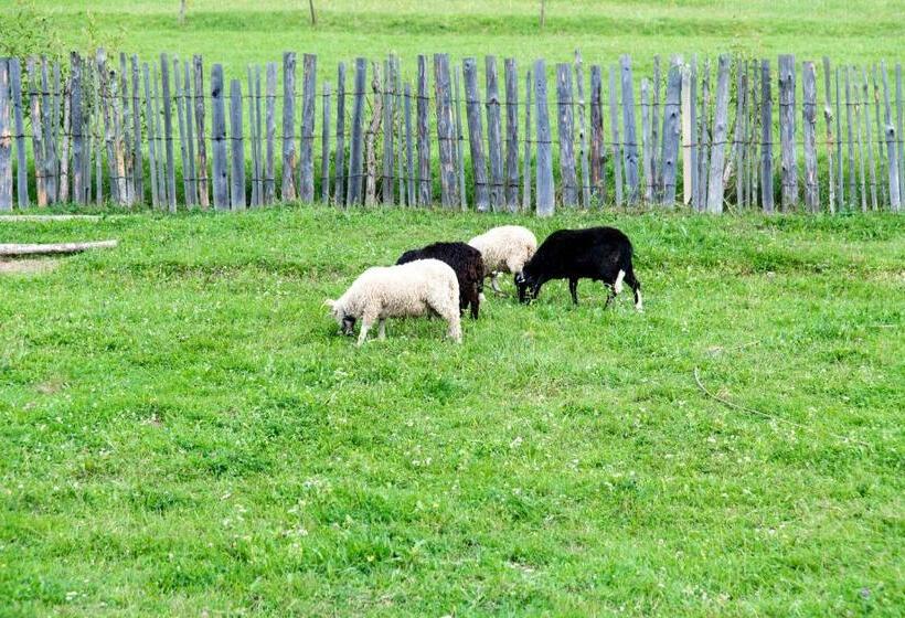 Pansiyon садиба кичера Gold