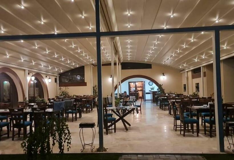 پانسیون Curtea Domneasca