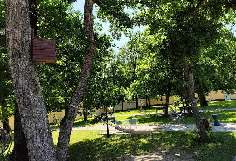 پانسیون Curtea Domneasca