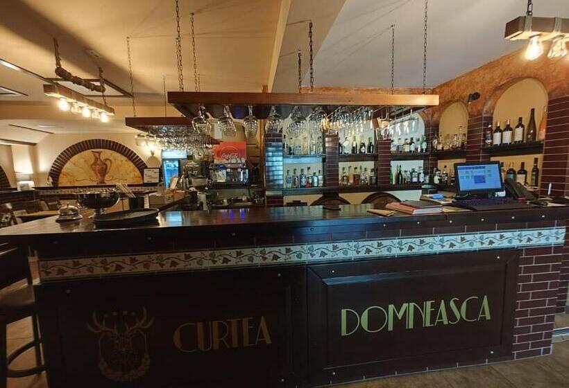 پانسیون Curtea Domneasca