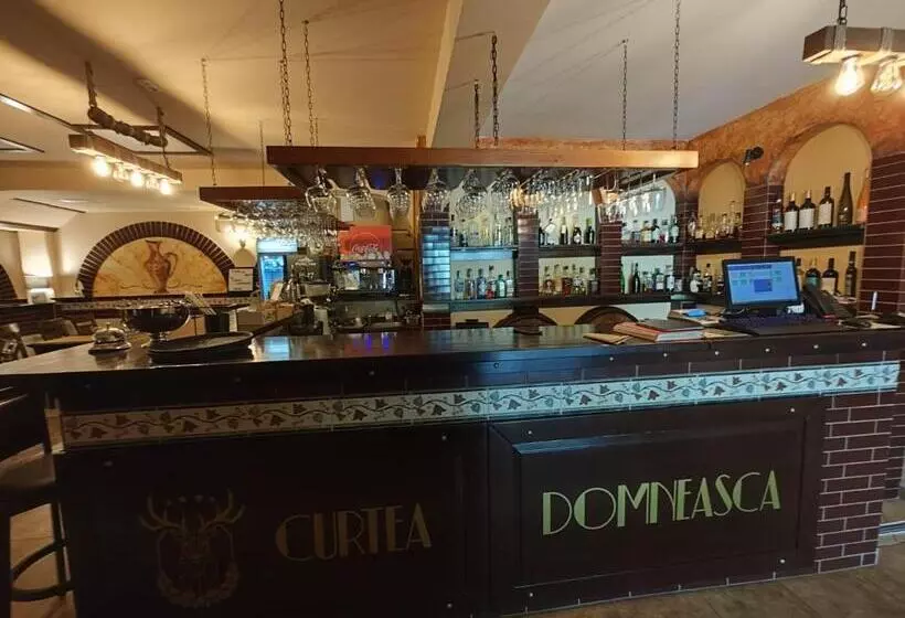 پانسیون Curtea Domneasca