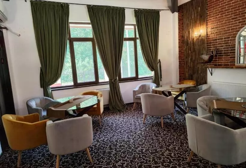 پانسیون Curtea Domneasca