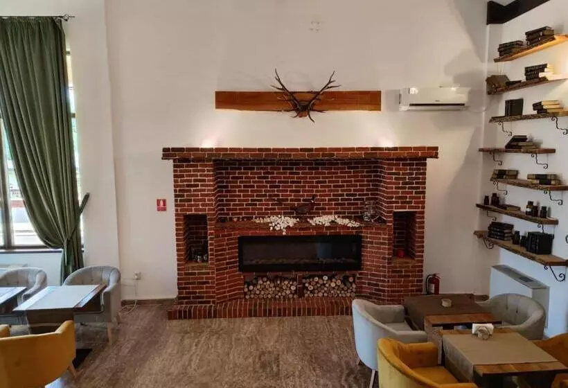 پانسیون Curtea Domneasca