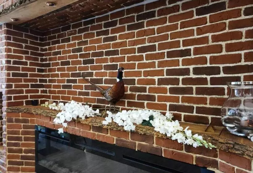 پانسیون Curtea Domneasca