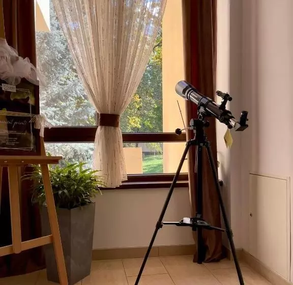 پانسیون Curtea Domneasca