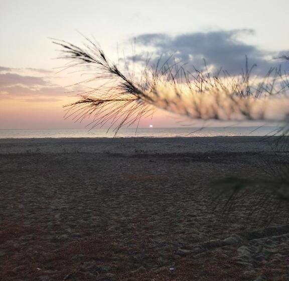 Andaman Peace Resort