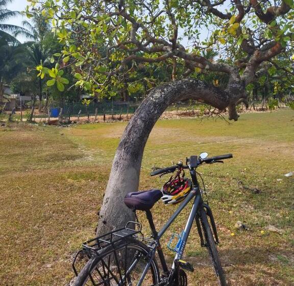 Andaman Peace Resort