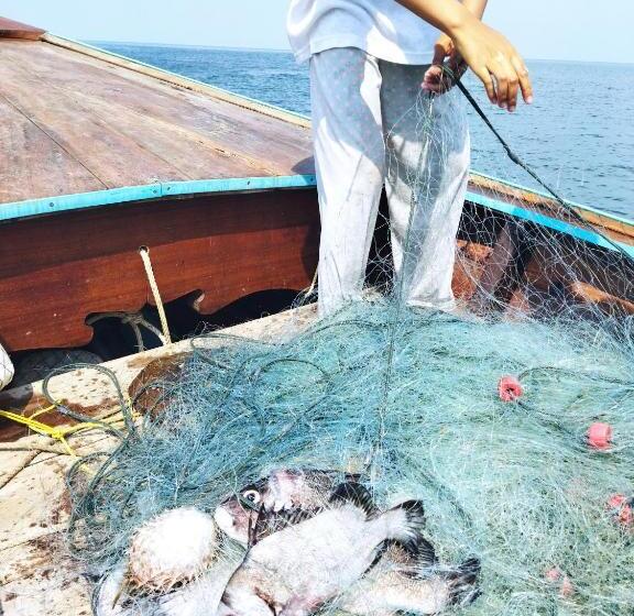 Andaman Peace Resort