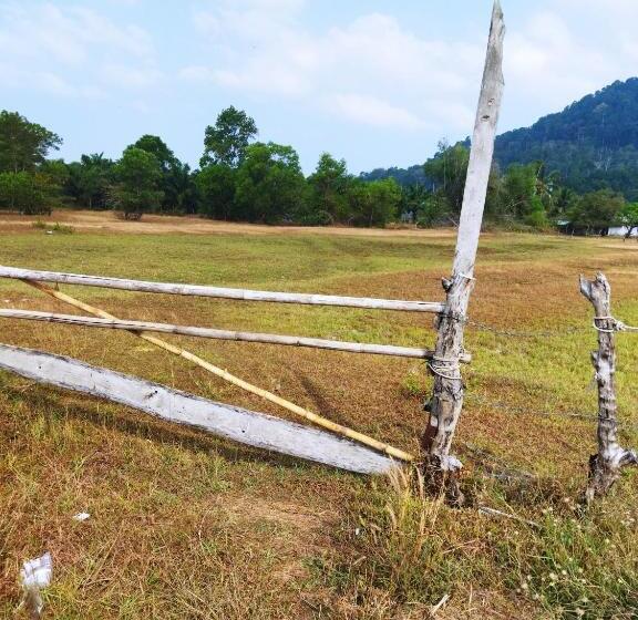 Andaman Peace Resort