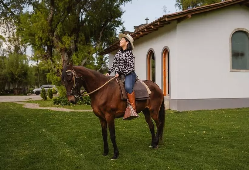 Ensenada Hotel Y Campo Asociado Casa Andina