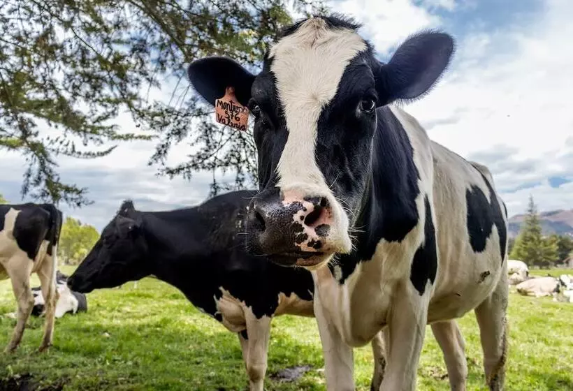 Ensenada Hotel Y Campo Asociado Casa Andina