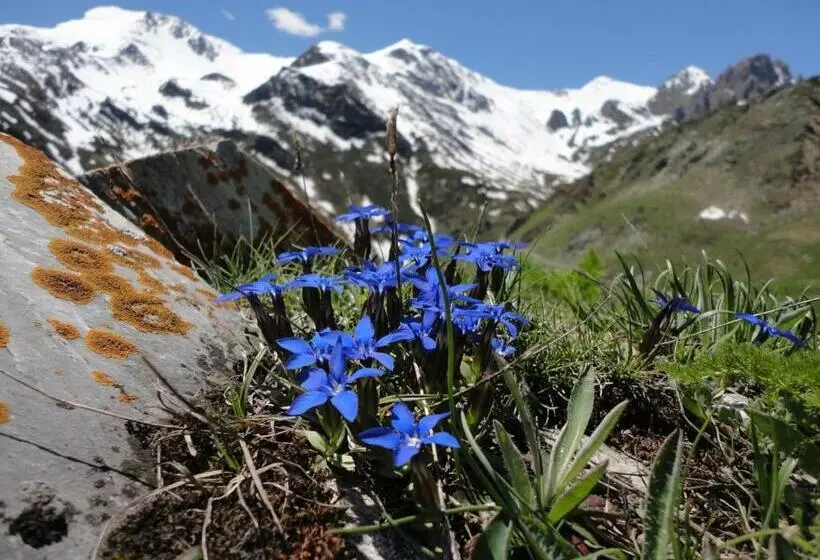 Hotelli Albergo La Pace