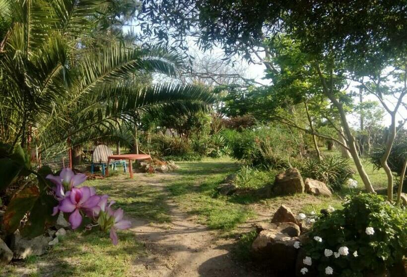 بنسيون Hostal El Puesto