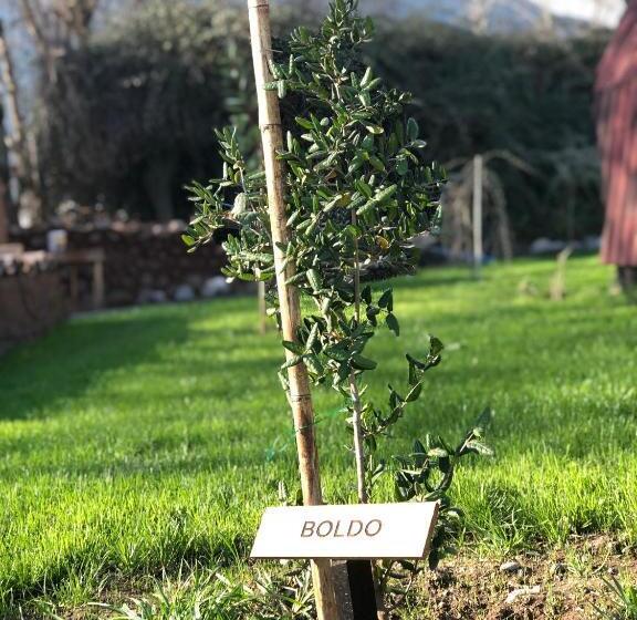 Rucatalca Bed And Breakfast