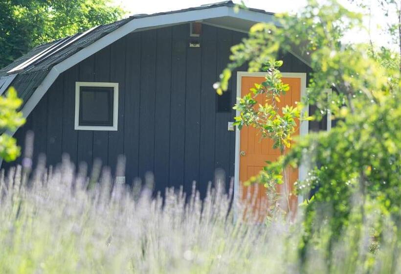 Rucatalca Bed And Breakfast