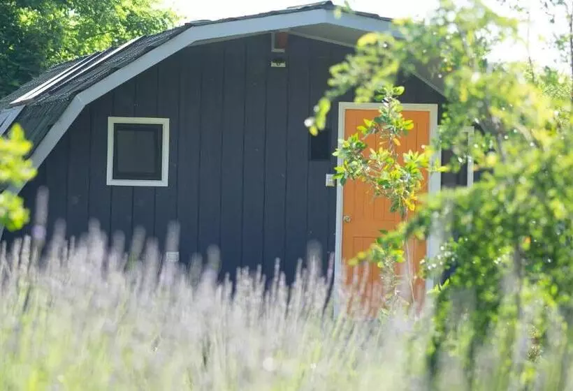 Rucatalca Bed And Breakfast