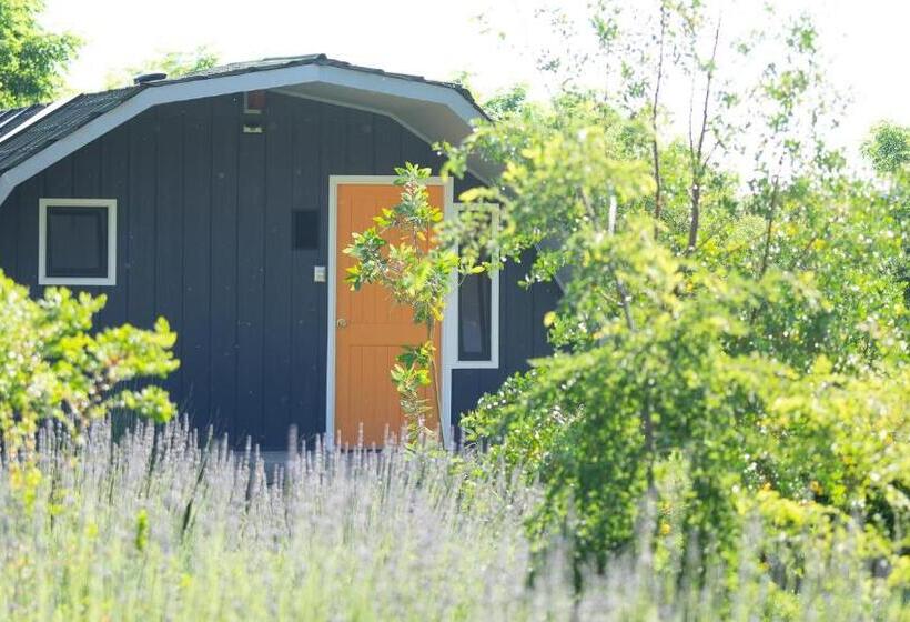 Rucatalca Bed And Breakfast