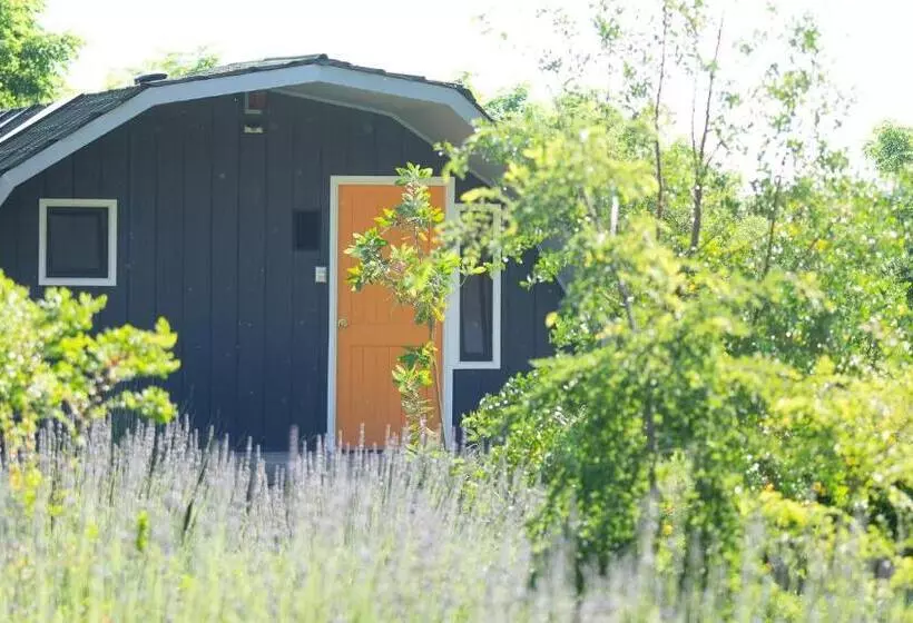 Rucatalca Bed And Breakfast